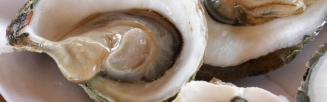 At Least 2 People Died of ‘Flesh-Eating’ Bacteria After Eating Tainted Oysters