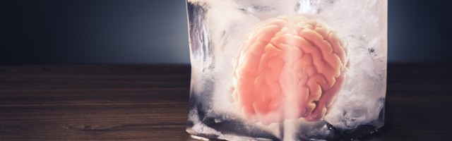 This startup will keep your dead body on ice for €30 a month