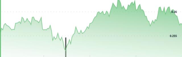 DOGE Anchored Above $0.251, Traders Watching $0.264 Break