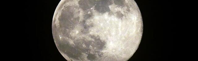 January full moon 2026: See the Wolf supermoon