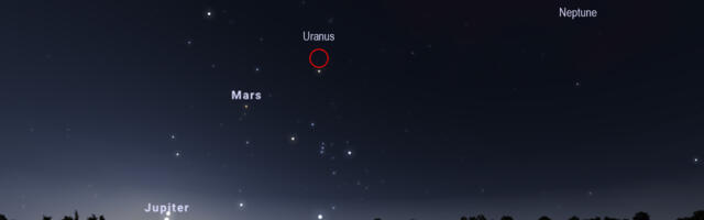 Planets, Meteors and an Eclipse: August Is Going to Be a Big Month for Skygazing