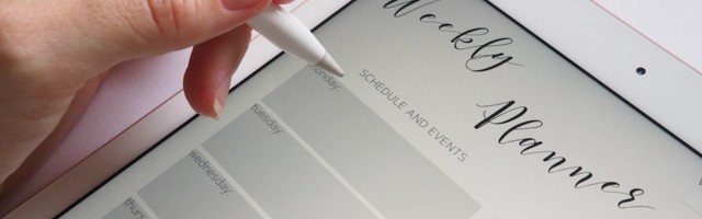 Creating a Weekly Business Plan