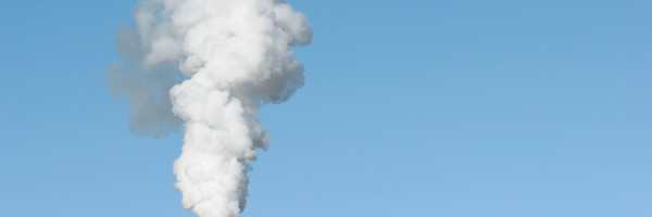 Corporate sustainability initiatives may open doors for carbon offset startups