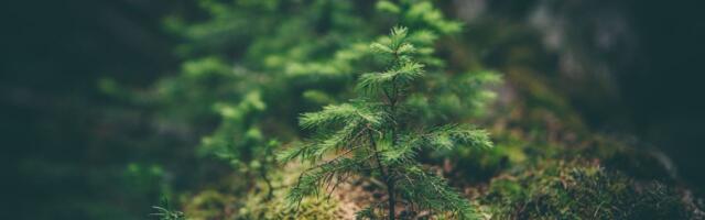 SWEN Capital Partners confidently backs REGA's renewable energy ambitions in €60M fundraise