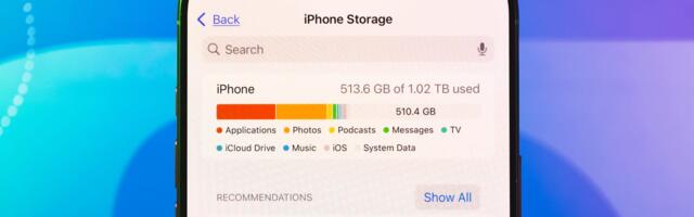 How to Free Up Your iPhone's Storage by Deleting Data You Don't Need