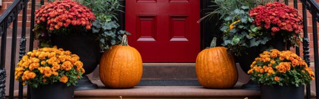 5 tasteful fall decorations to add to your home, and 3 tacky ones to skip, according to an interior designer