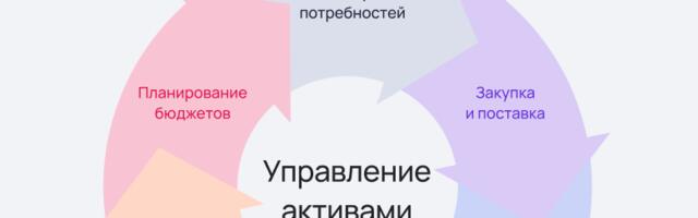 Как выбрать систему для управления ИТ-активами: критерии, ошибки и практика 2026
