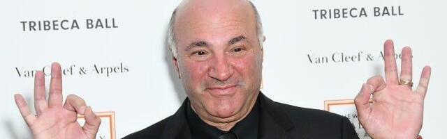 'Shark Tank' star Kevin O'Leary says get married sooner, have more kids — and forget about the costs