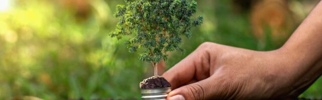 The roadmap to sustainable IT