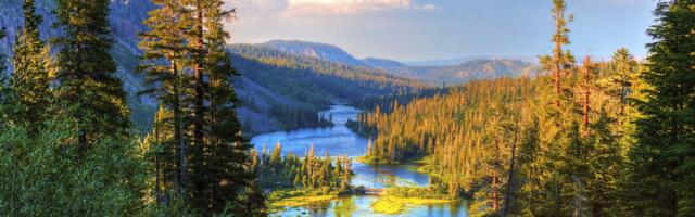 1% for the Planet announced the launch of Philanthropic Fund