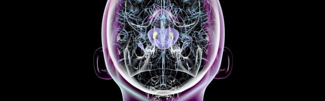 Scientists Succeed in Reversing Parkinson’s Symptoms in Mice