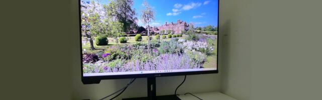 Asus ProArt PA32KCX 32-inch 8K professional monitor review: A reference for color, pixel density, and brightness