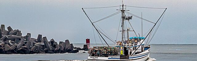 First crab hauls come ashore, but Northern California fishermen frustrated by $3 price point