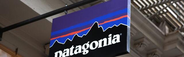 Patagonia lays off staff and launches a 'business transformation' to set it up for the next 50 years