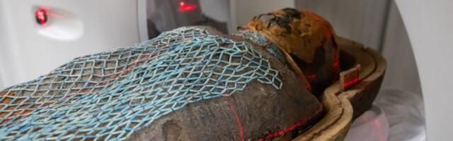Experts Stuck 2 Mummies in a CT Scanner. Here’s What They Saw