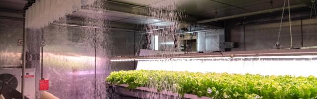 Vacuum Insulation Solutions aims to make construction more sustainable