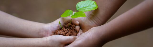 Nature’s Vault Launches Novel Blockchain-Powered Platform
