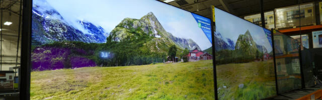 Looking For Cheap, Highly Rated TVs? Here's Where You Can Buy Them