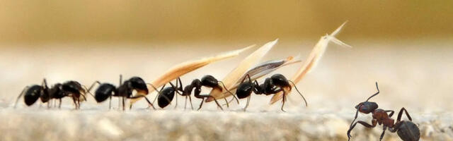 [Перевод] Разработчики должны быть слегка циничными