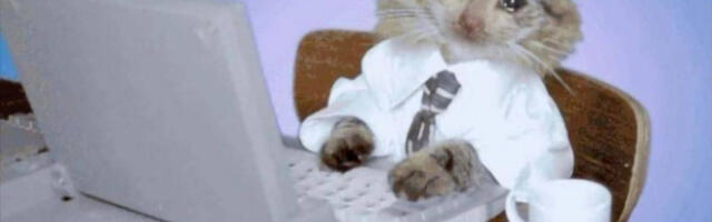 Эйчары тоже плачут: почему им (и вам) нужна автоматизация подбора