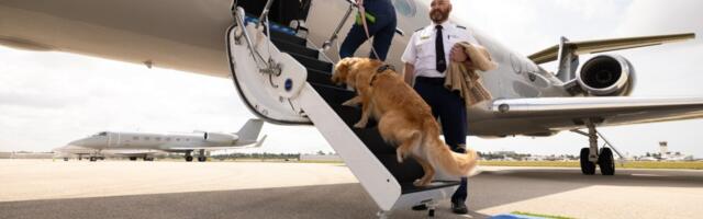 Dogs and their humans fly together on BARK Air, service coming to San Jose airport in the fall