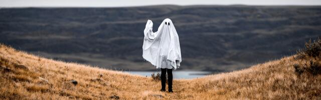 Ghost job listings: what they are and how to spot them [Advertorial]