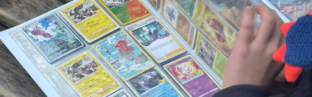 I pay my 8-year-old with Pokémon cards for his chores. It motivates him more than getting money.
