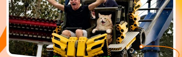 От макета до пострелиза: путь новых сервисов глазами QA