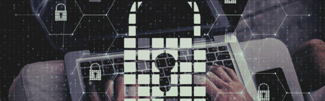 The passwordless future is years away. Here is what businesses should do now