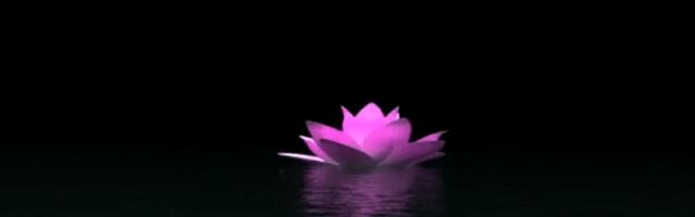 Revenue-based financing player Bloom blossoms in £300 million Series A round