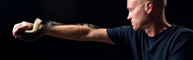 Bay Area man who injected himself with venom hundreds of times could revolutionize snakebite treatment