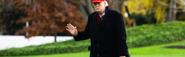 Trump Is Boosting MAGA X Accounts Operating Overseas