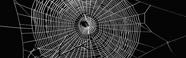 Aave Gauges Community Interest for Expansion to Bitcoin Layer 2 Spiderchain