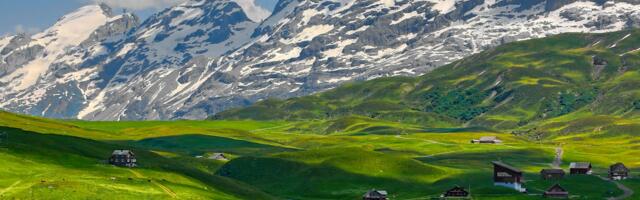 Schwab Foundation announces 2025 awardees at Davos