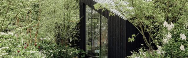 A modern collection of tiny homes is available in the US for the first time starting at $52,000 apiece — take a look