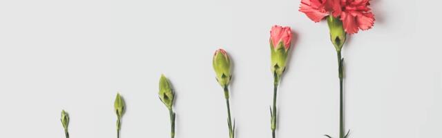 The Startup Funding Journey: A Guide to Pre-Seed, Seed, Series A, B, C, D, and E Funding