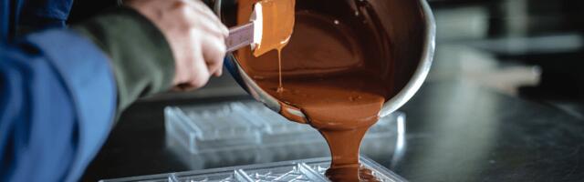 Copenhagen-based Endless Food Co secures €1 million to transform the chocolate industry with sustainable alternative
