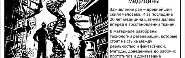 [Перевод] «Умные» повязки и стволовые клетки. Актуальные возможности регенеративной медицины