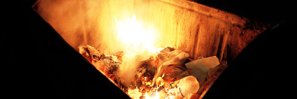 What startups can learn from this dumpster fire year