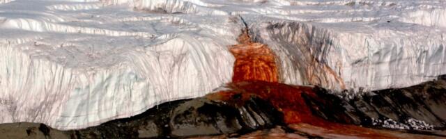 Why This Part of Antarctica Bleeds Blood Red