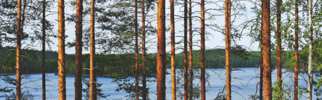 Finnish testing startup Usetrace sold to US