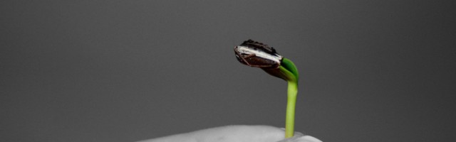 How to scale a deeptech company