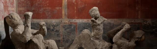 DNA From Pompeii Victims Reveals Surprising Relationships Amidst the Chaos