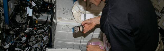 [Перевод] Космонавты испытали добычу металлов из руды в космосе при помощи бактерий и грибов