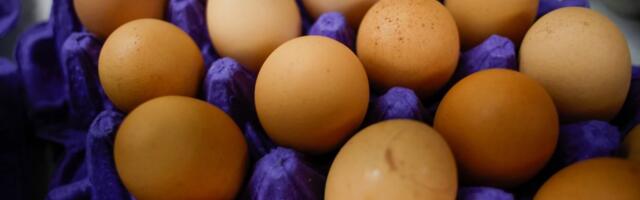 Trump administration sues California over egg prices, farm animal welfare laws