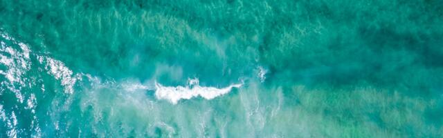 Why the blue economy will not scale with technology alone