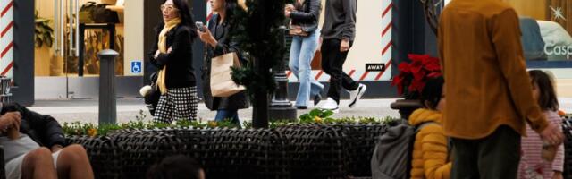 Black Friday: Bay Area shoppers still worried about prices, but appear ready to spend this holiday season