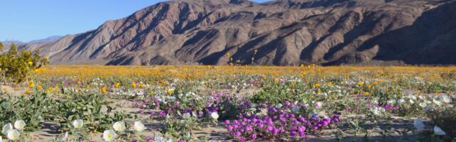 After visiting all 50 US states, these are the 7 state parks I think all travelers should experience at least once