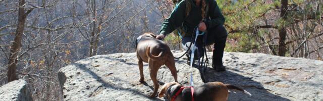 Moving off the grid in rural West Virginia felt isolating at first. With time, I built a strong community.