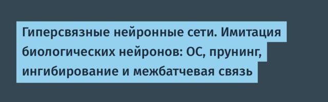 Гиперсвязные нейронные сети. Имитация биологических нейронов: ОС, прунинг, ингибирование и межбатчевая связь